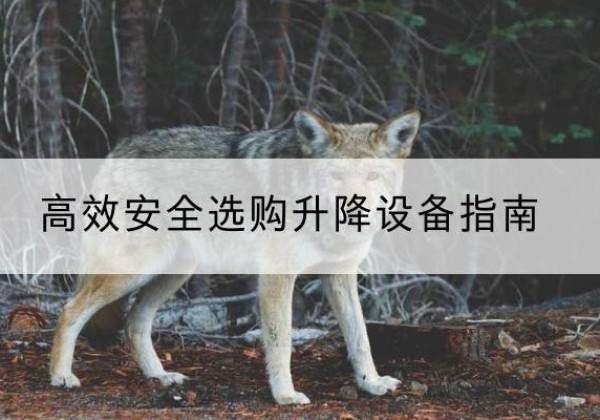 西升降货梯厂家推荐-*安全选购升降设备指南