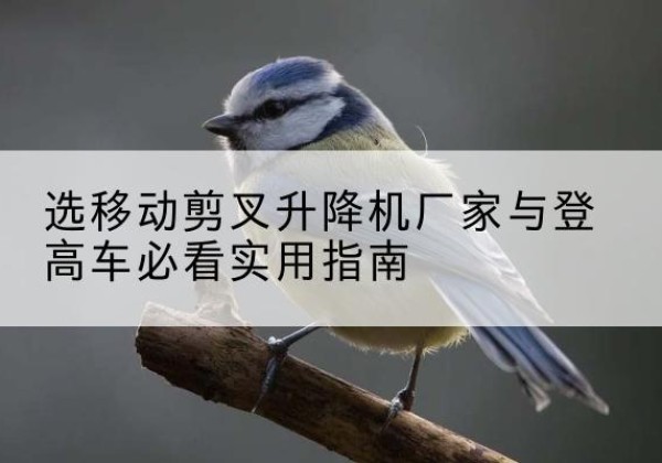 西电动升降机厂家-选移动剪叉升降机厂家与登高车必看实用指南